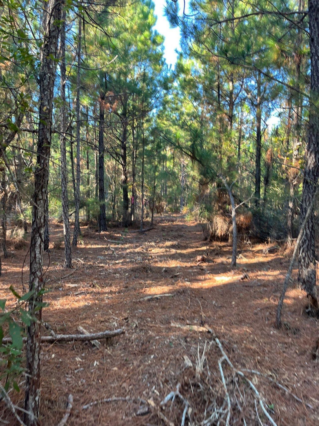 Ppf 17 Payne Pond Road Photo 19