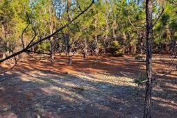 Ppf 17 Payne Pond Road photo 4