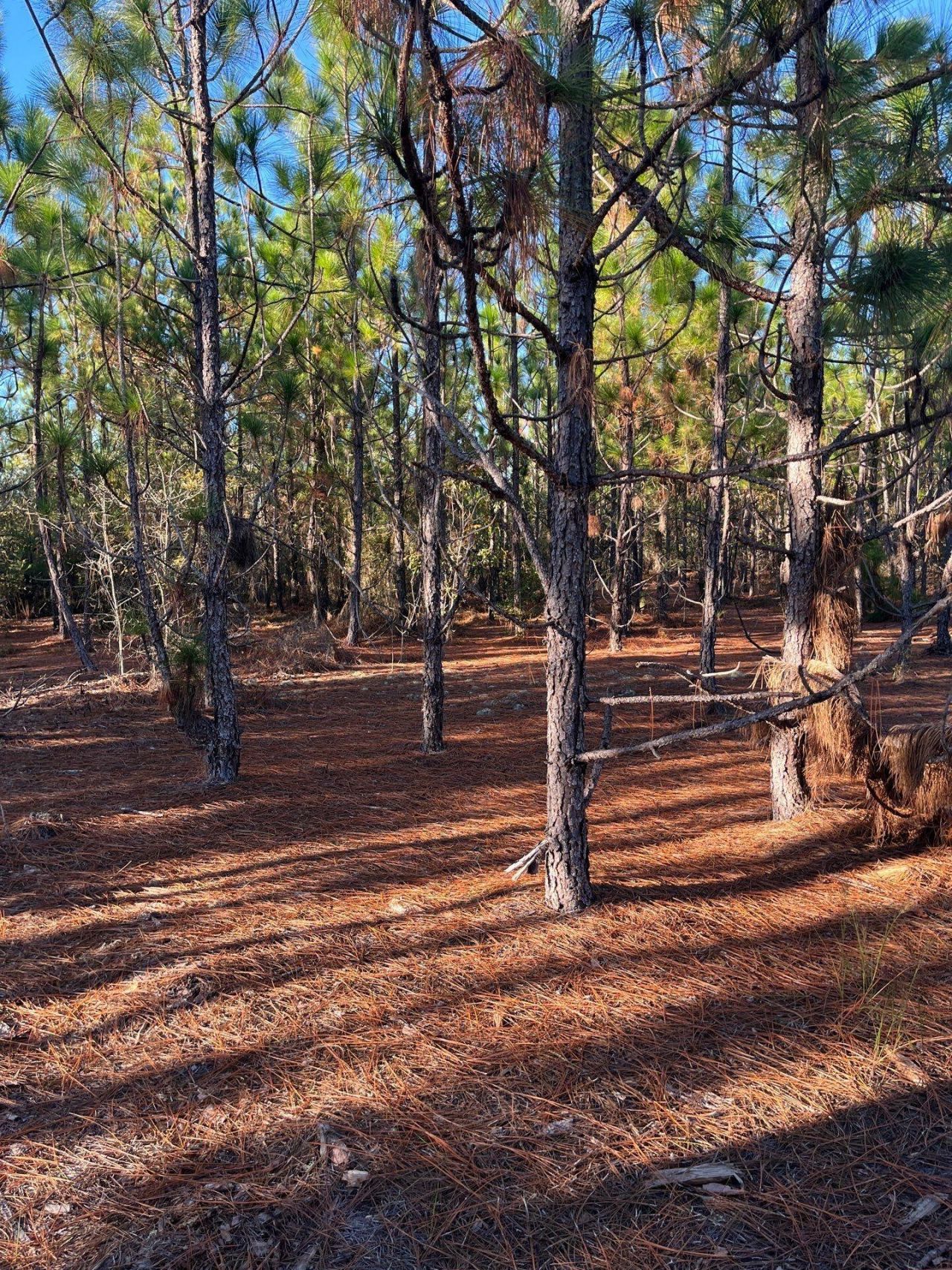 Ppf 17 Payne Pond Road Photo 4