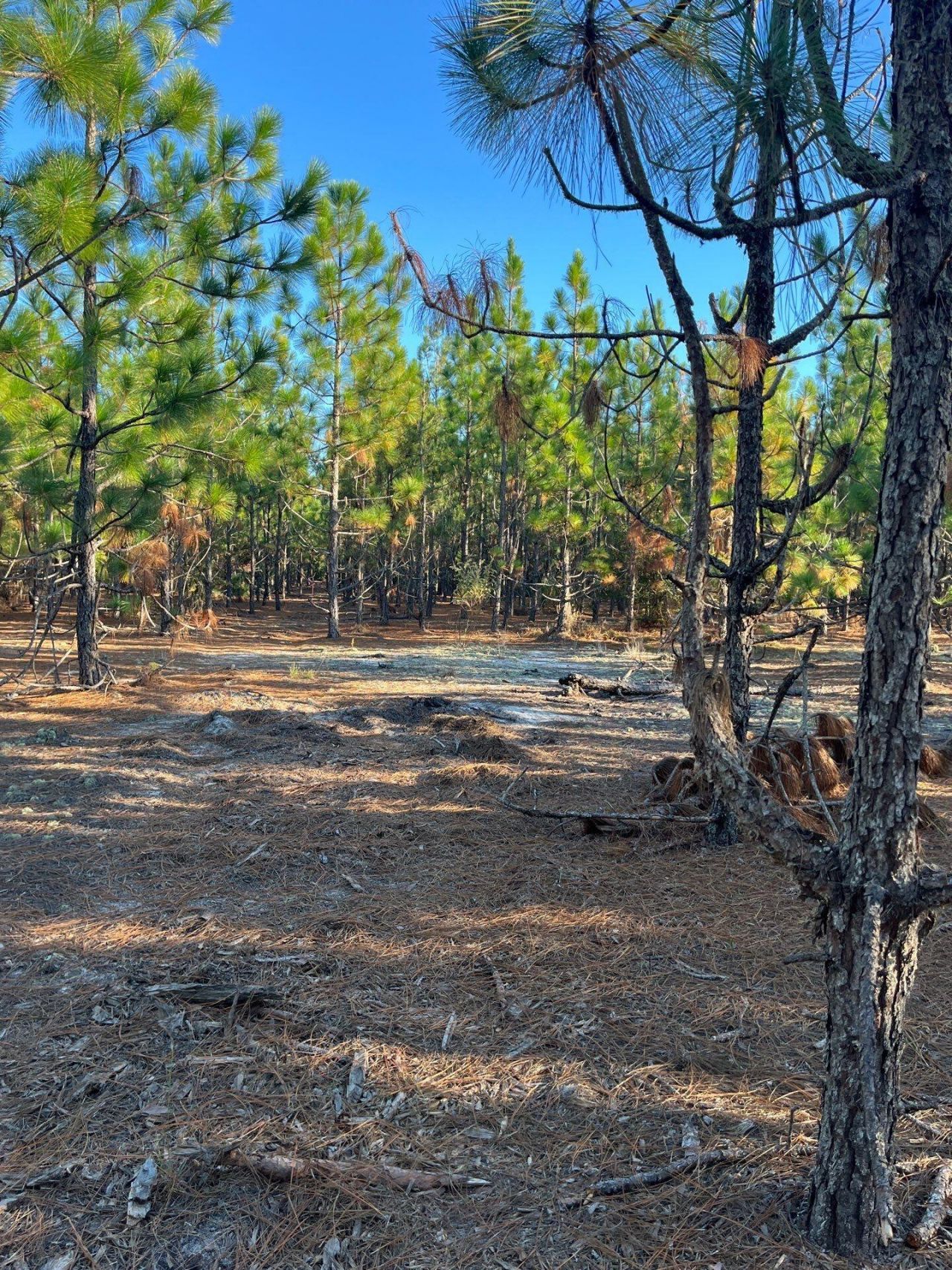 Ppf 17 Payne Pond Road Photo 5