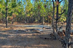 Ppf 17 Payne Pond Road photo 4