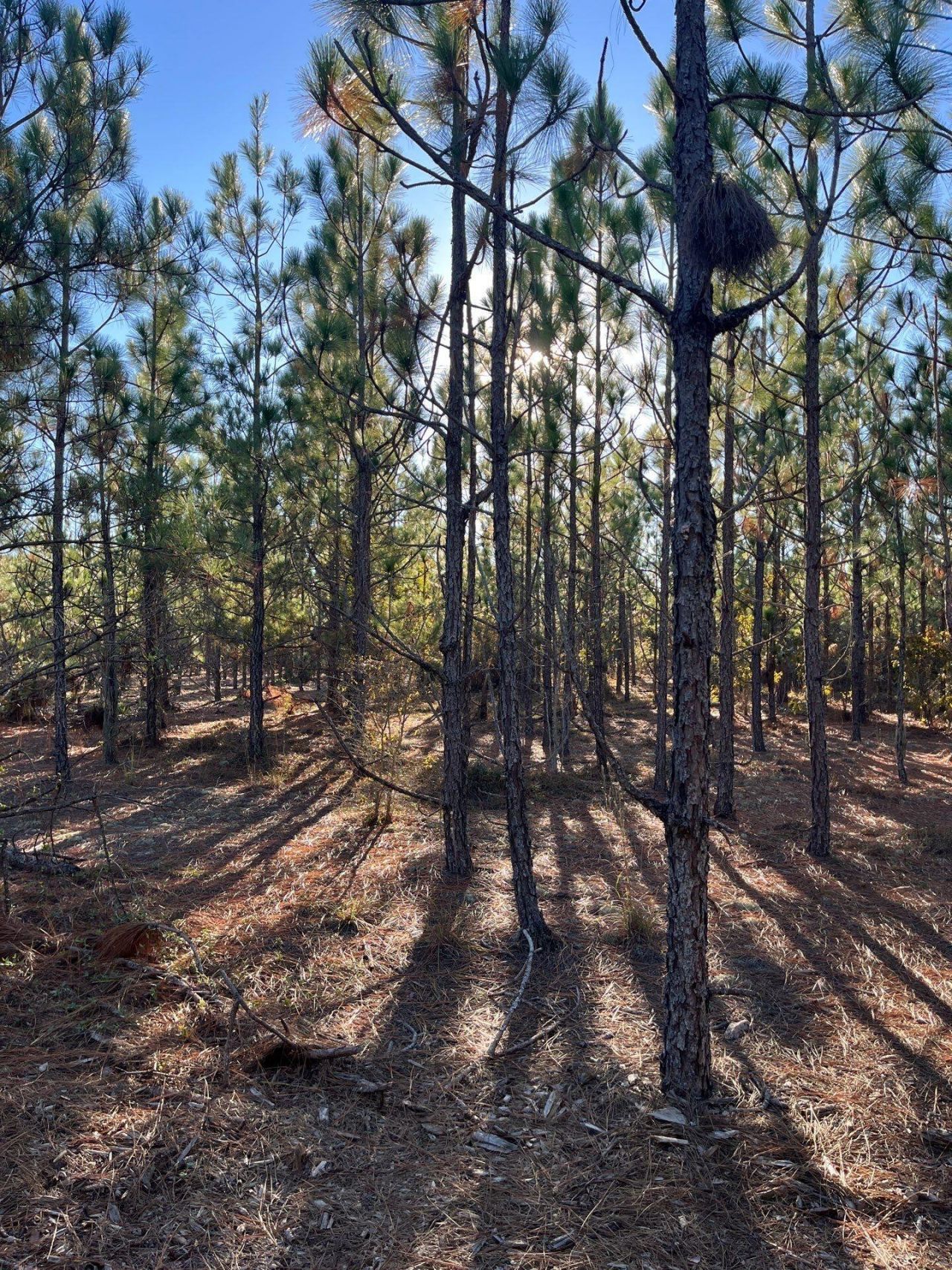 Ppf 17 Payne Pond Road Photo 6