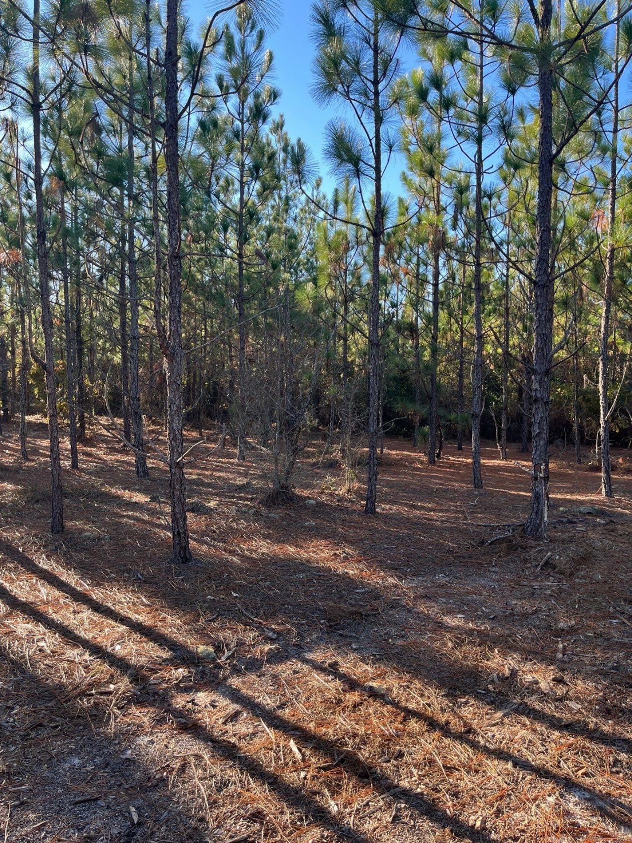 Ppf 17 Payne Pond Road Photo 7