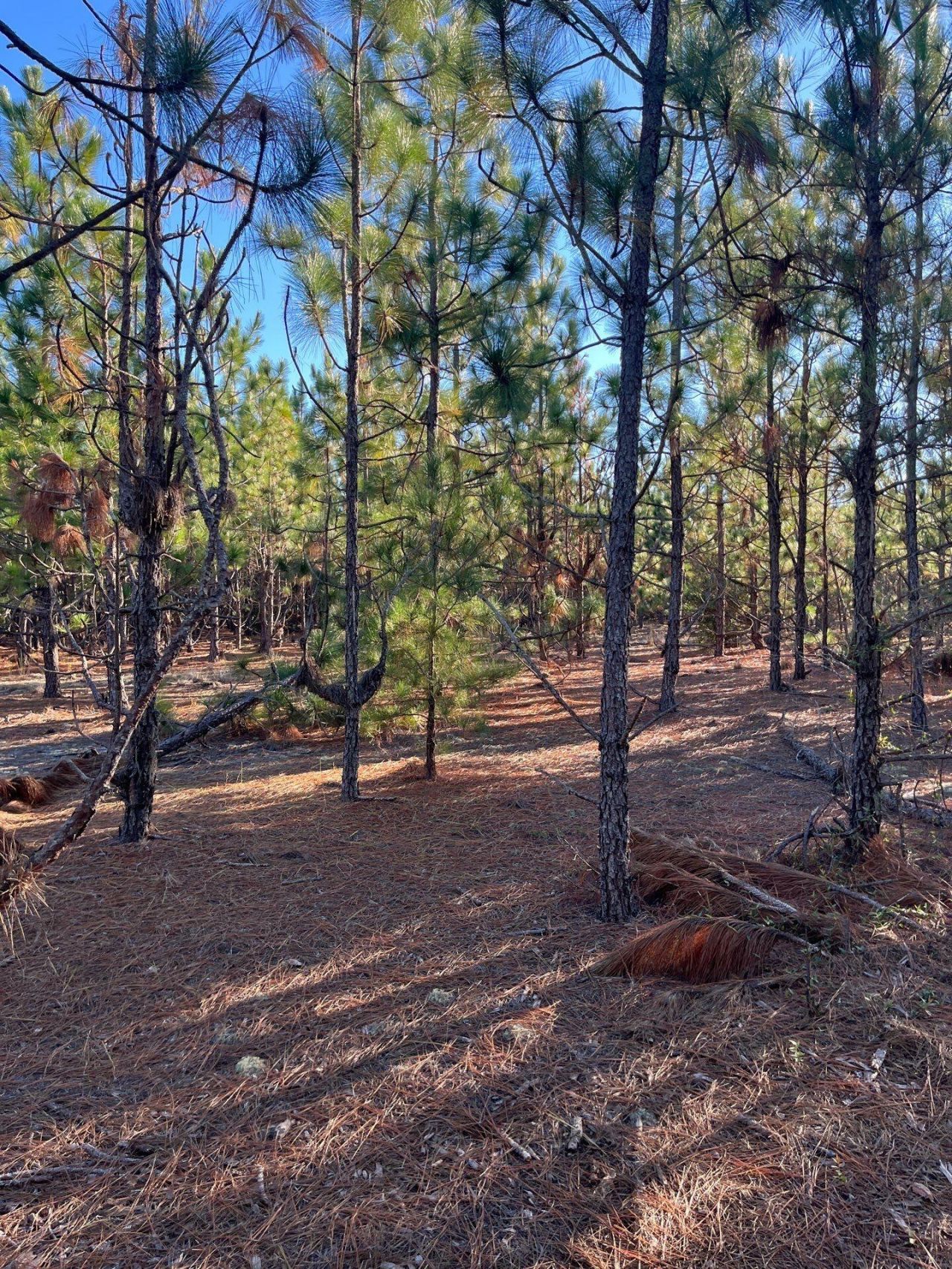 Ppf 17 Payne Pond Road Photo 8