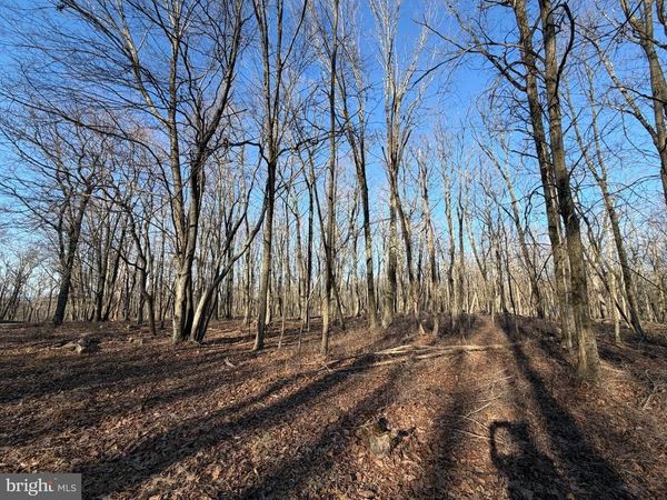 386 DAVOS CIRCLE , ZION GROVE, PA 17985