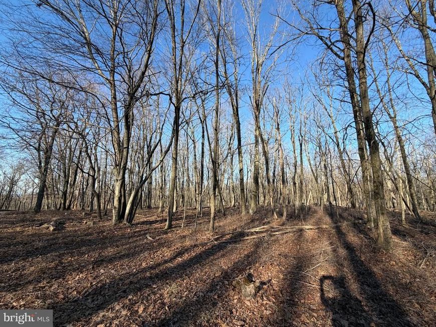 386 Davos Circle , Zion Grove, PA 17985 Main Photo