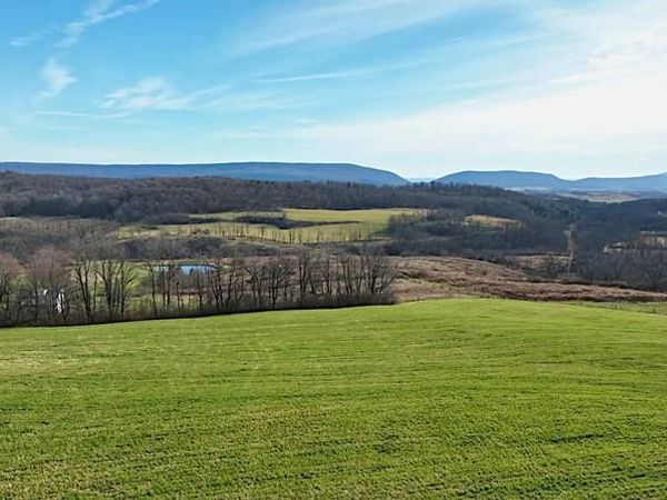 Corner of HUNDRED SPRINGS ROAD AND HILLTOP LANE , TYRONE, PA 16686