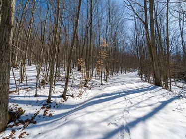 Nys Route 414, Beaver Dams, NY 14902