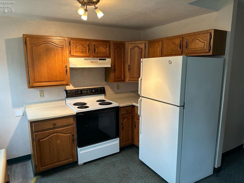 403 Park Street, Willard, OH 44890 Photo 19