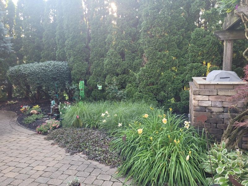 6045 Medallion Drive W, Westerville, OH 43082 Photo 86