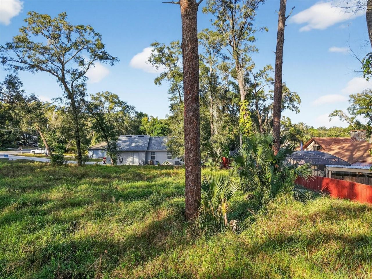 Tbd Lot 18 Apawamis Drive , Mount Plymouth, FL 32776 Photo