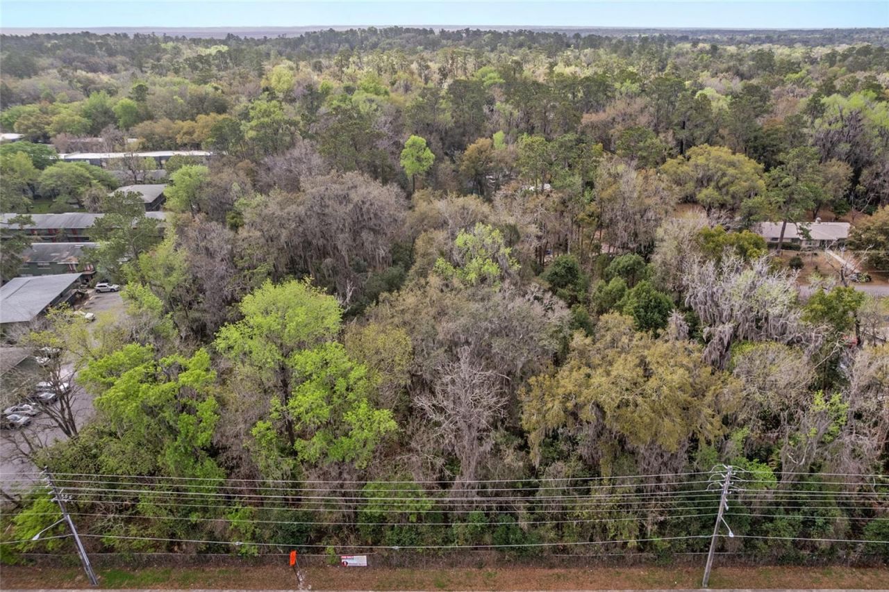Sw 16th Place, Gainesville, FL 32601 Photo