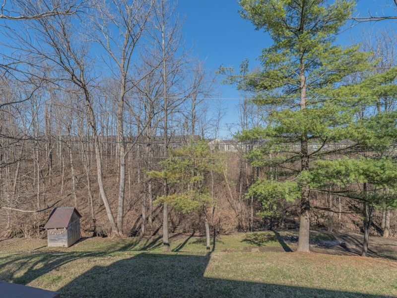 6324 Birchwood Court, Burlington, KY 41005 Photo 5