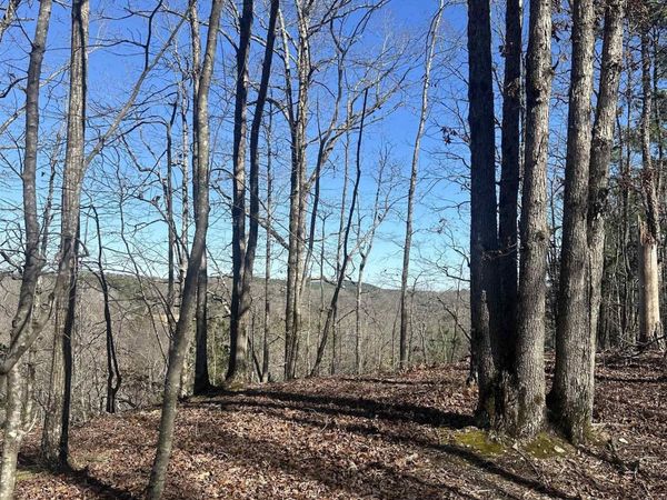 00M WALNUT VALLEY Road, Hot Springs Village, AR 71909