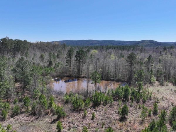 761 RICHARDSON, Amity, AR 71921
