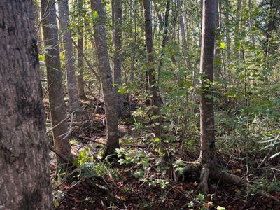 Ppf 18 Payne Pond Road, Unit Ppf 18, Westville, SC 29175