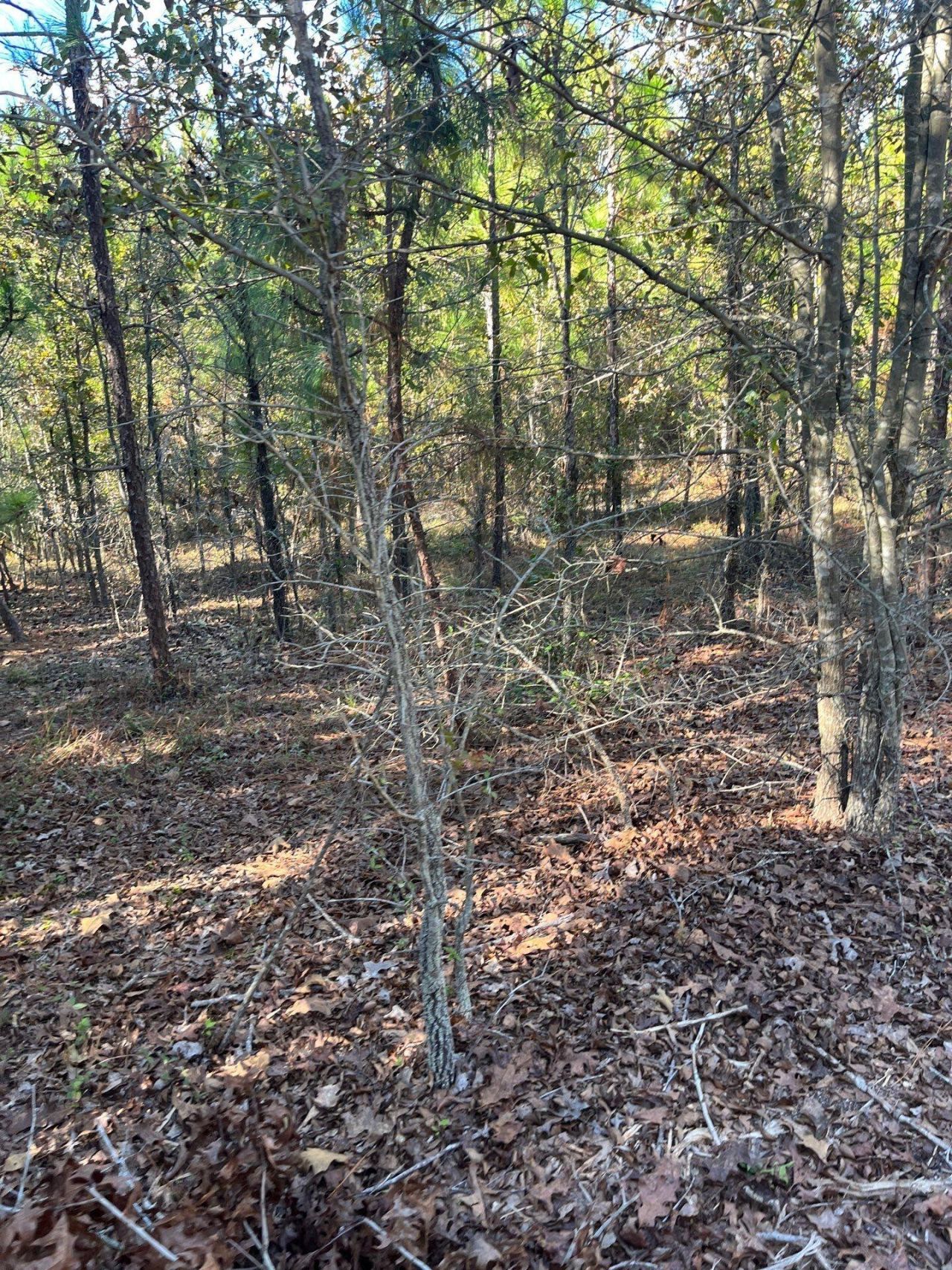 Ppf 18 Payne Pond Road Photo 10