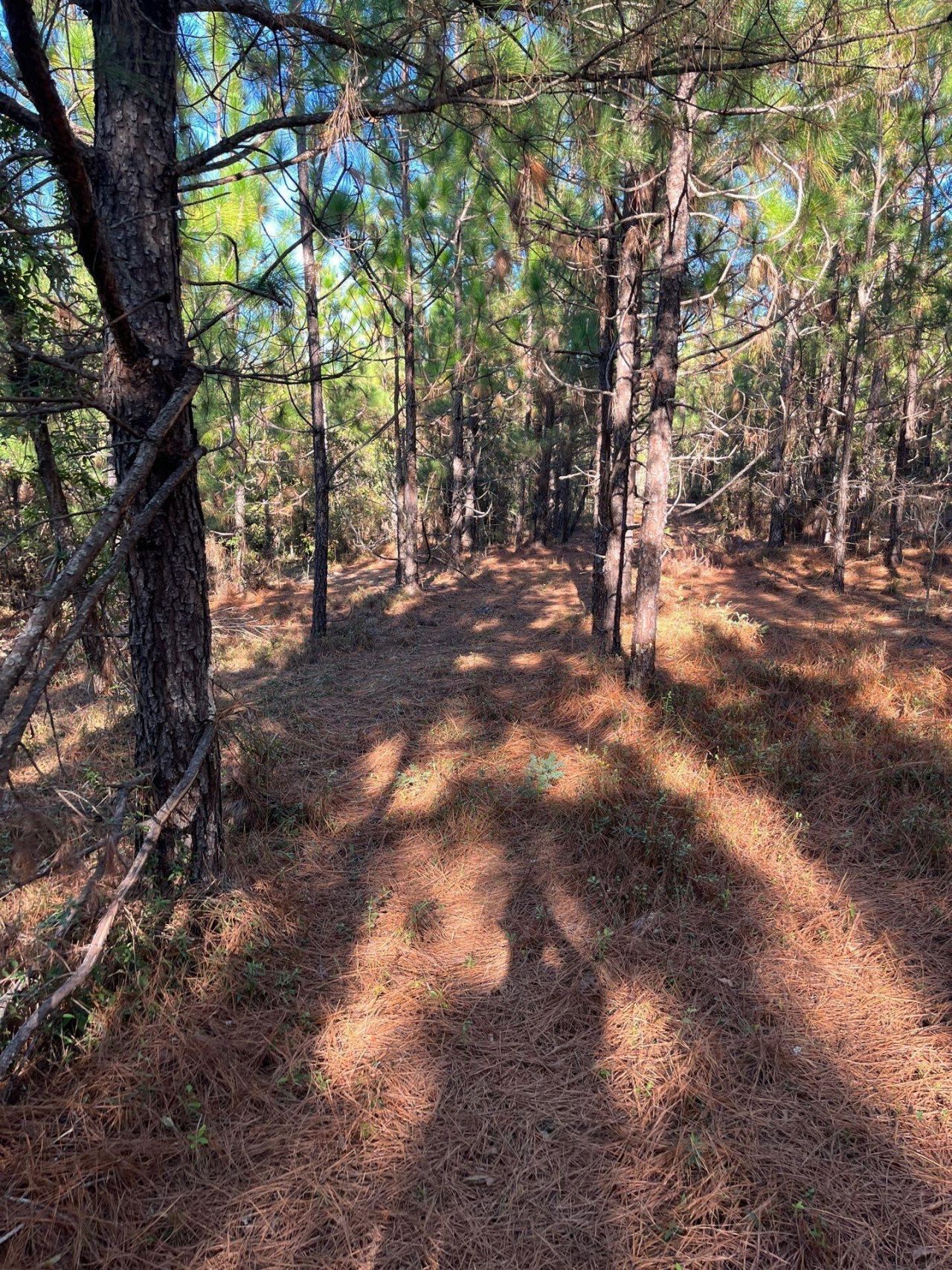 Ppf 18 Payne Pond Road Photo 12