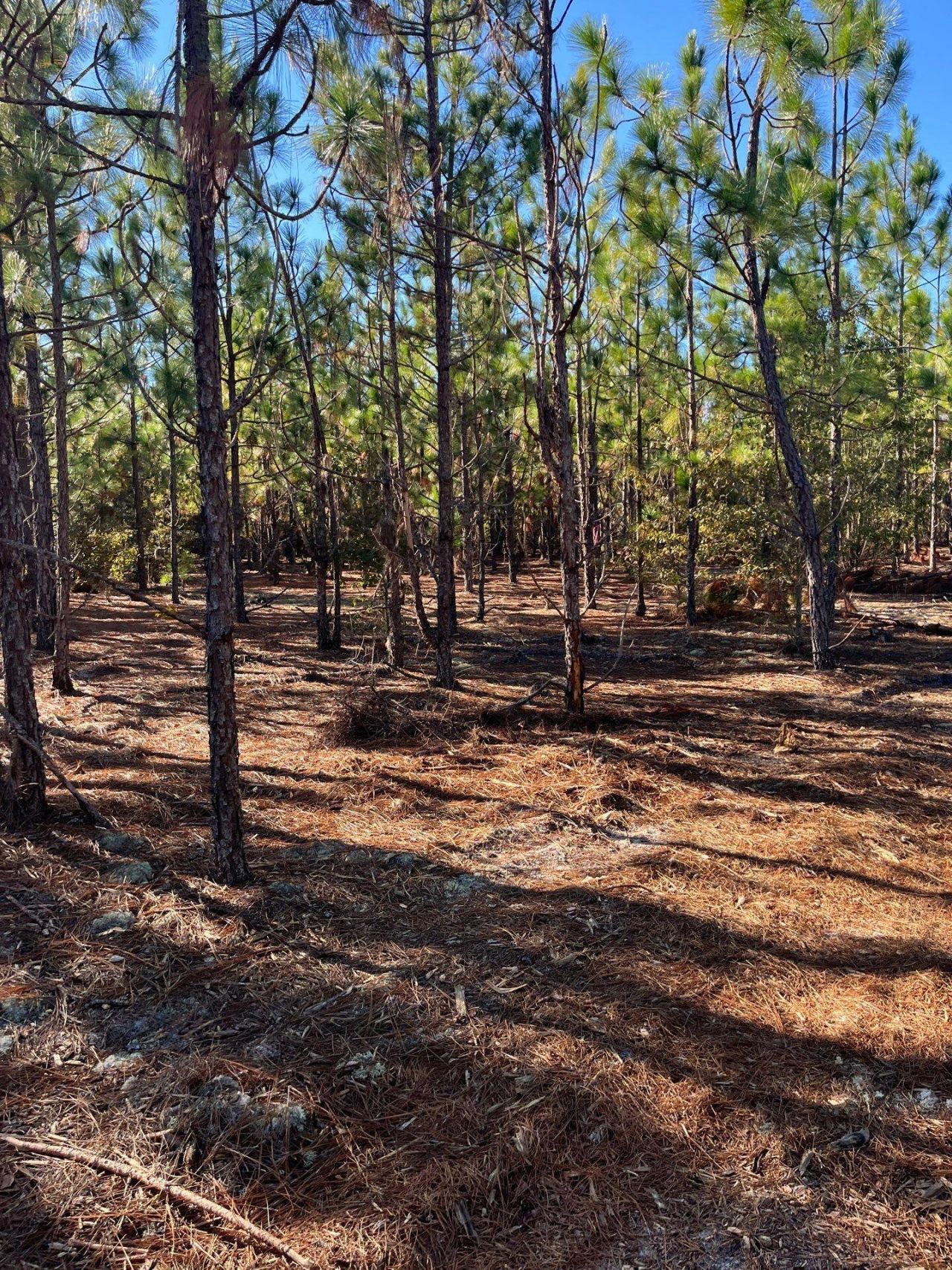 Ppf 18 Payne Pond Road Photo 18