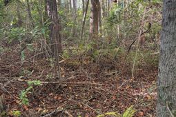 Ppf 18 Payne Pond Road photo 4