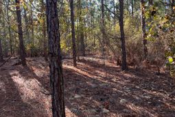 Ppf 18 Payne Pond Road photo 4