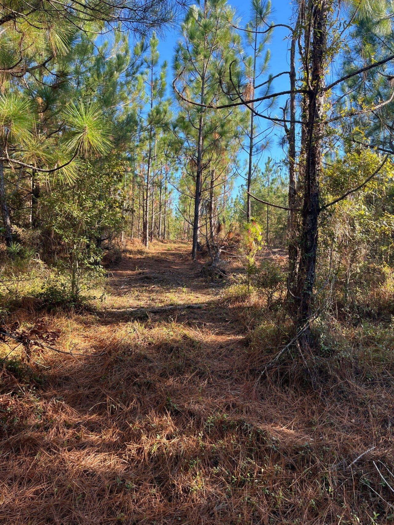 Ppf 18 Payne Pond Road Photo 5