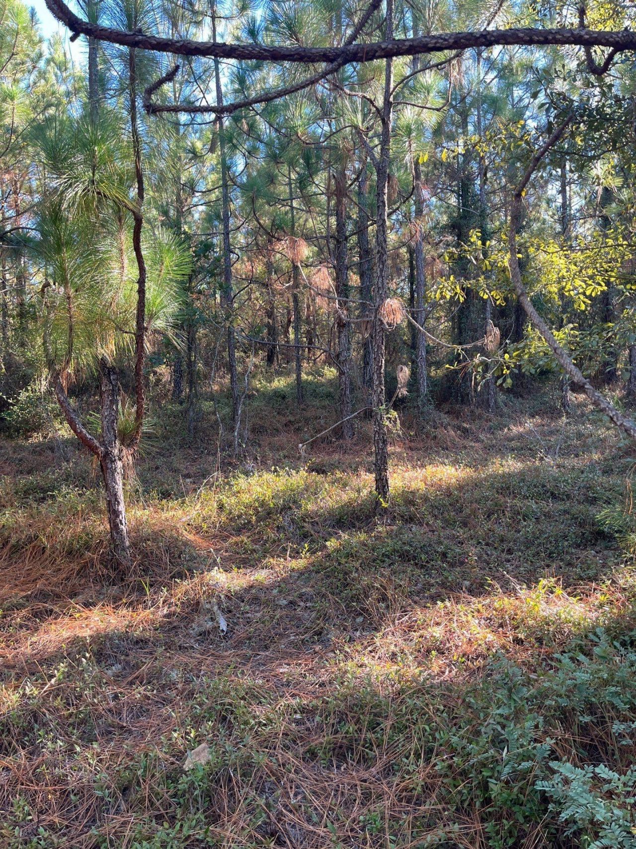 Ppf 18 Payne Pond Road Photo 7