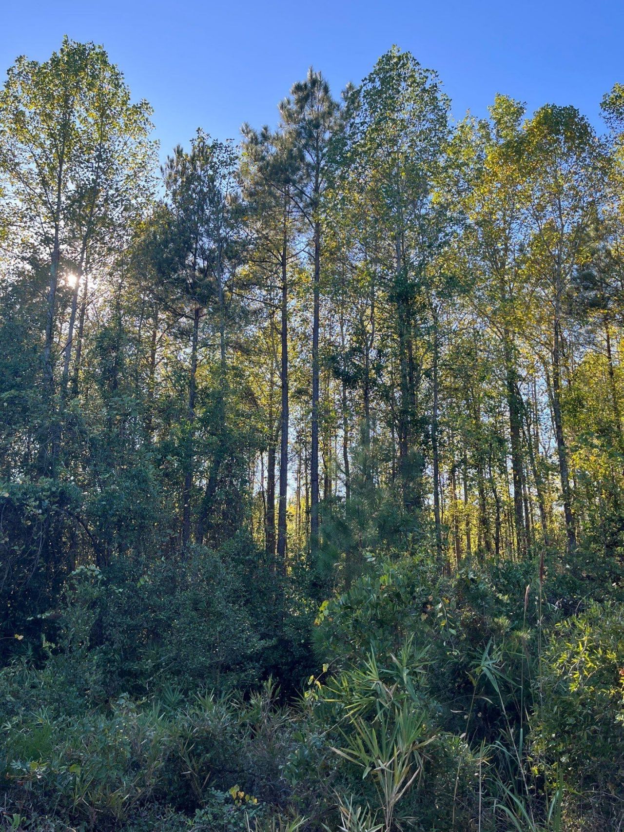 Ppf 18 Payne Pond Road Photo 8