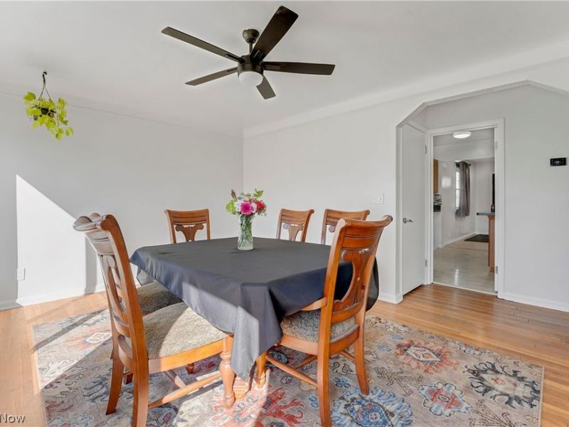 1677 Douglas Road, Wickliffe, OH 44092 Photo 12