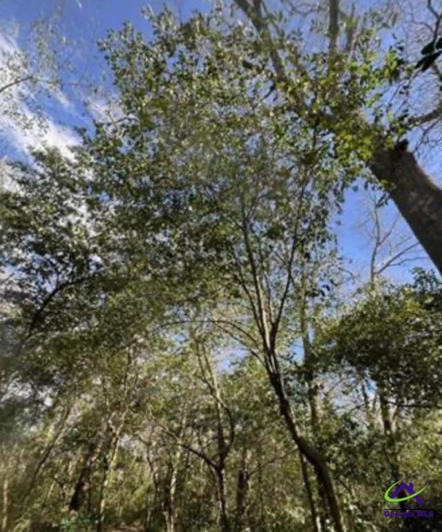 0000 South Street Aka Market Street, Marshallville, GA 31057 Main Photo