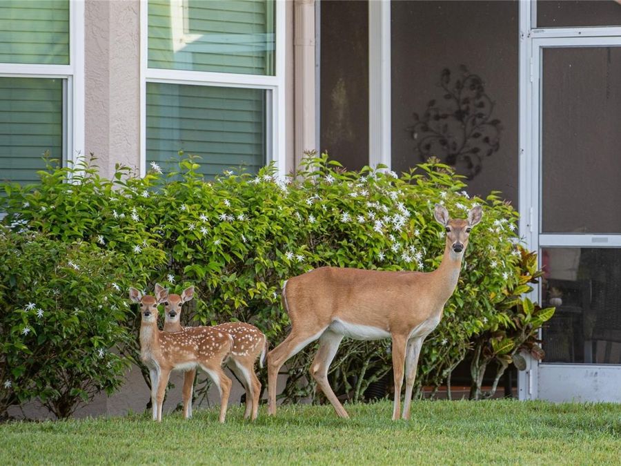 Property Image 81