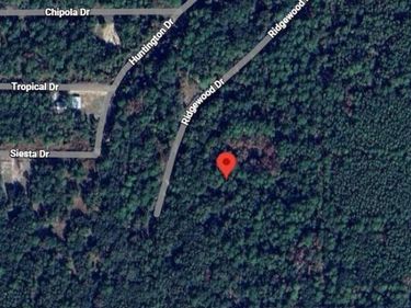 205 SIESTA DRIVE , GEORGETOWN, FL 32139