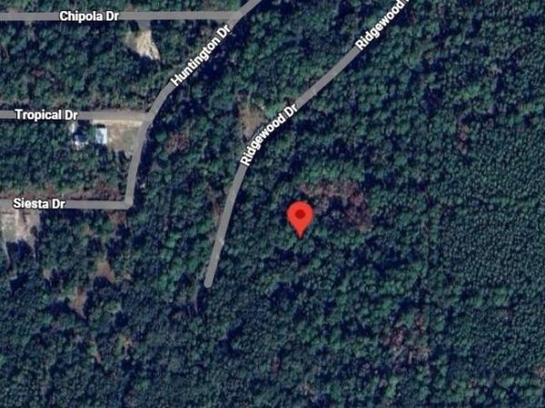 205 SIESTA DRIVE , GEORGETOWN, FL 32139