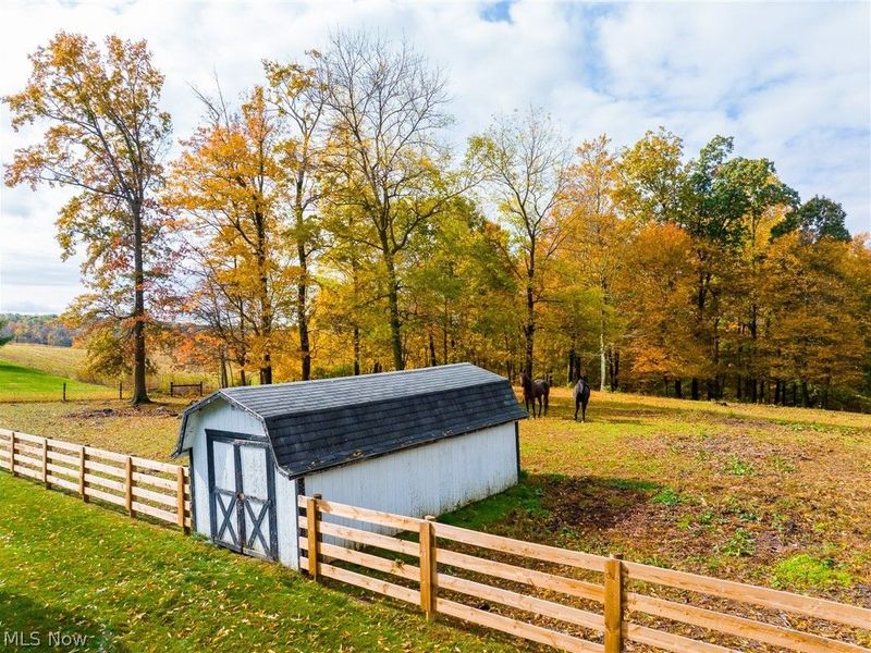 8383 Hoy Road, Fredericksburg, OH 44627 Photo 49