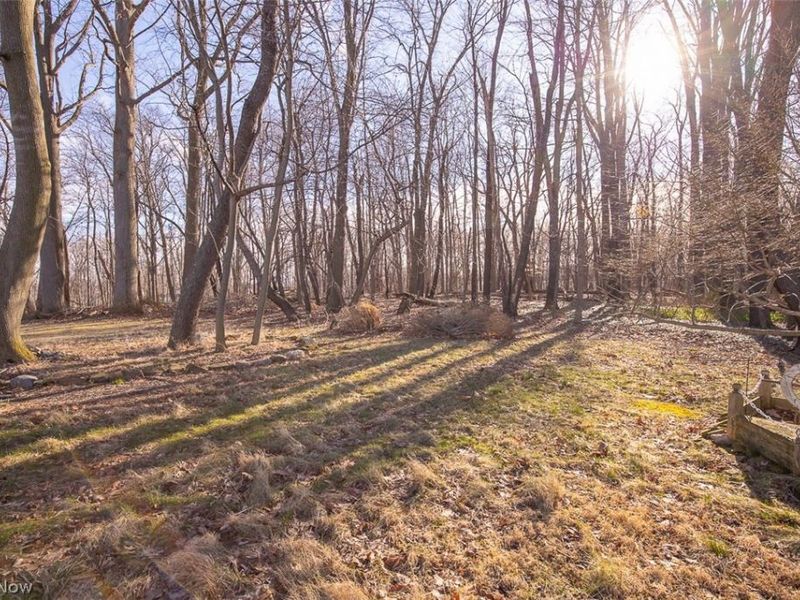 5595 Walnut Street, Mentor on the Lake, OH 44060 Photo 33