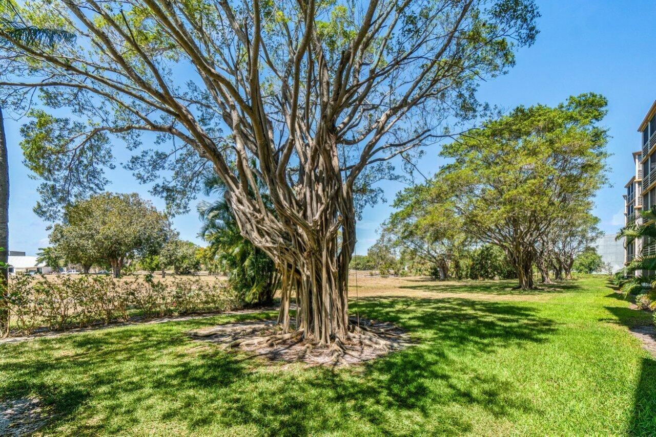 6461 NW 2nd Avenue, Unit 4110, Boca Raton, FL 33487 Photo