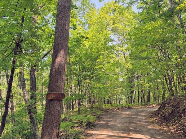 14954 W Goss Road, Hayward, WI 54843