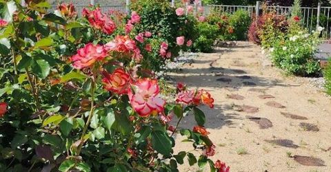 2664 Starr Meadows Loop, Reno, NV 89519 Photo