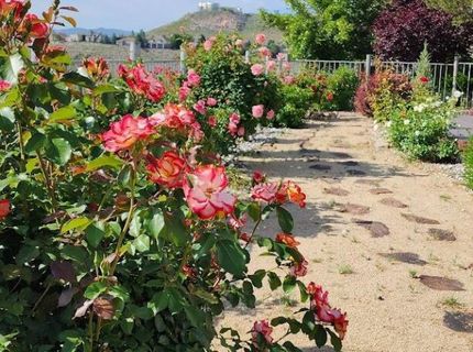 2664 Starr Meadows Loop, Reno, NV 89519 Photo