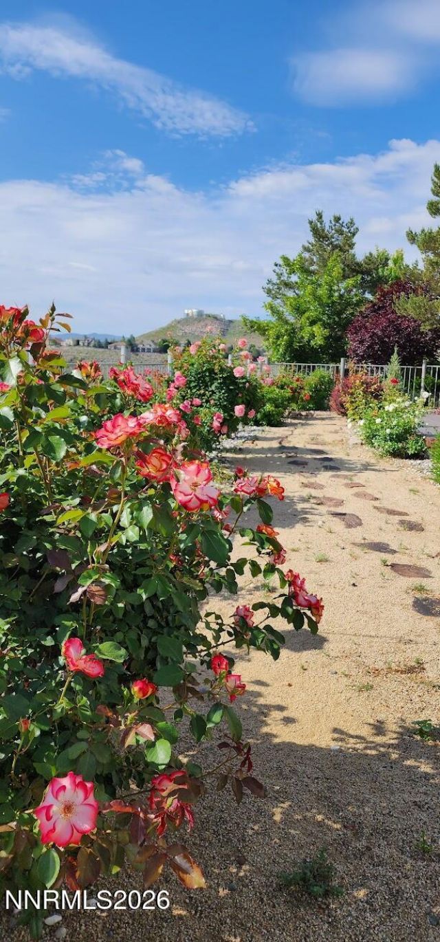 2664 Starr Meadows Loop, Reno, NV 89519 Photo