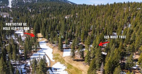 519 Wolf Tree, Truckee, CA 96161 Photo