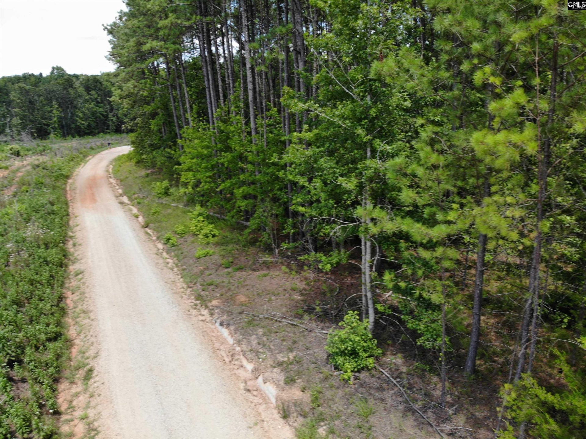 Lot 103 Pineland Road Photo 5