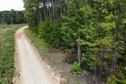 Lot 103 Pineland Road photo 4