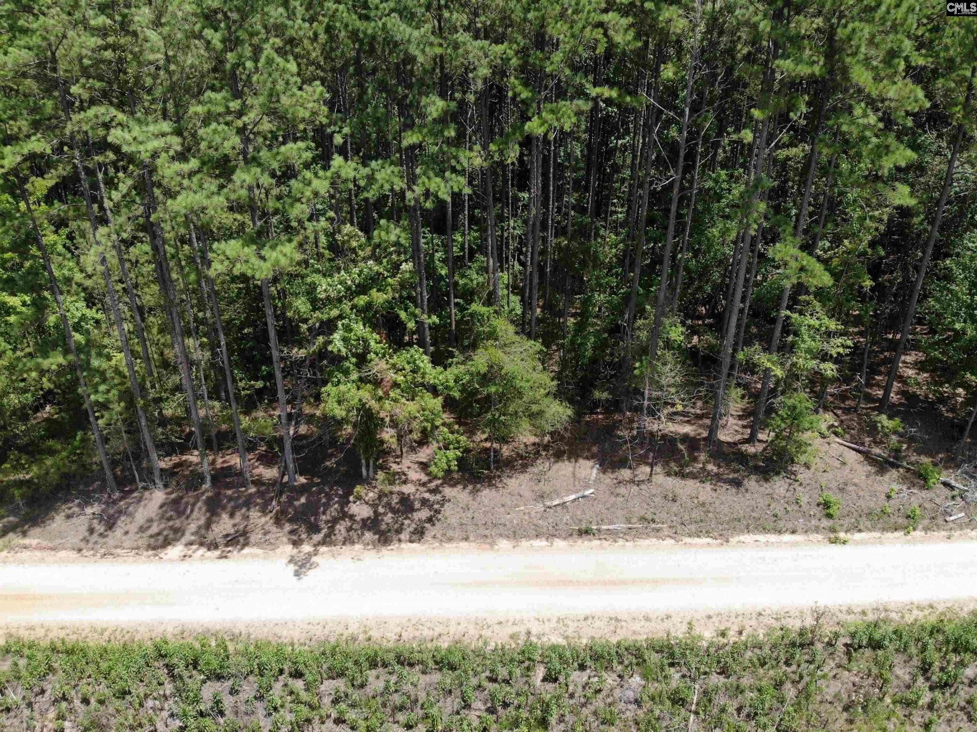 Lot 103 Pineland Road Photo 6