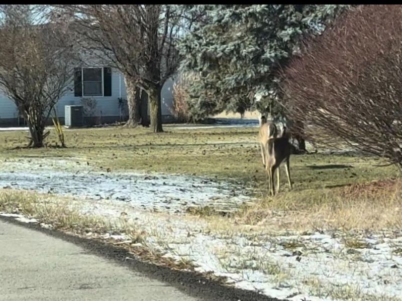 0 Itawamba, Unit 2044, Jackson Twp, OH 45171 Photo 3