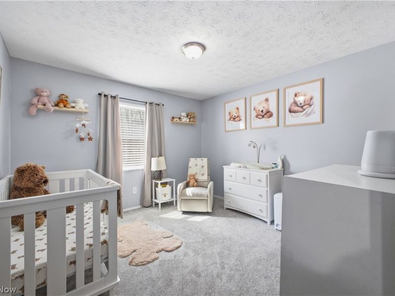 1764 Dumont Drive, Mineral Ridge, OH 44440 Photo 10