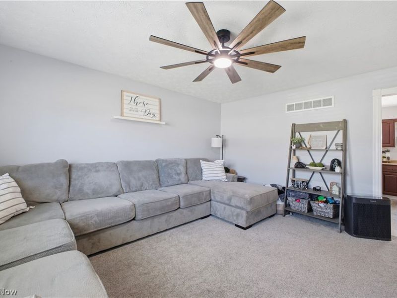 1764 Dumont Drive, Mineral Ridge, OH 44440 Photo 12