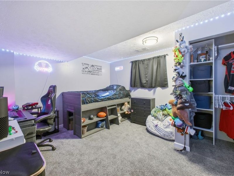 1764 Dumont Drive, Mineral Ridge, OH 44440 Photo 17