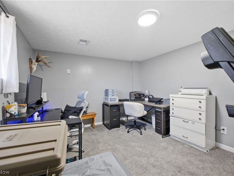 1764 Dumont Drive, Mineral Ridge, OH 44440 Photo 18