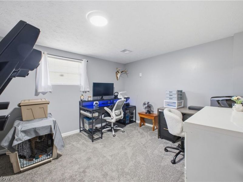 1764 Dumont Drive, Mineral Ridge, OH 44440 Photo 19